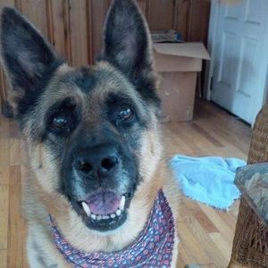 Meet your Posher, Joy